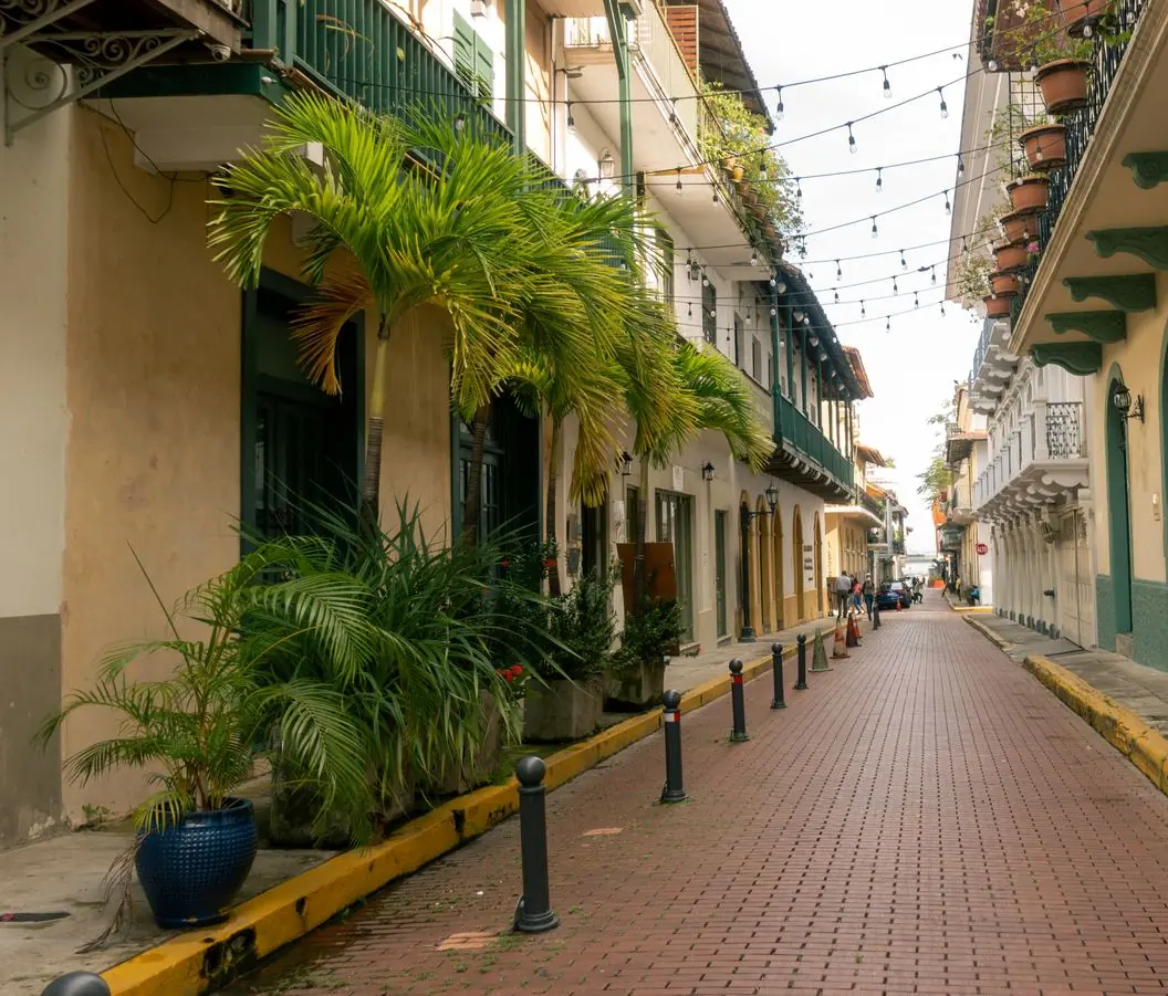 Warm evening light on a Casco Viejo street lined with palms