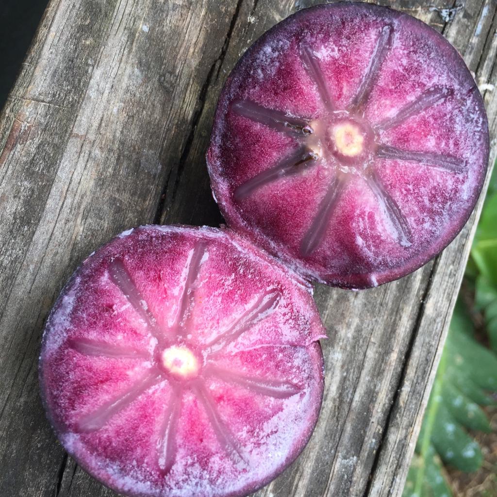 Star apple (caimito) cut in half showing its purple flesh